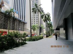 Sbf Center (D1), Office #335569881